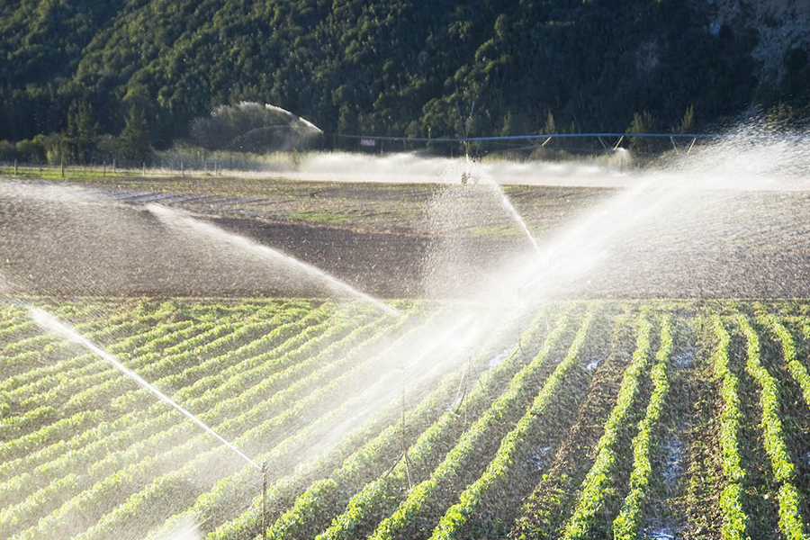 Poljoprivredna automatizacija