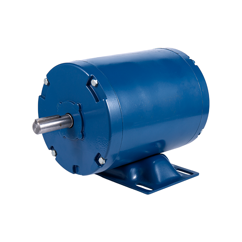 Jednofazni električni indukcijski motor velike snage Y286145